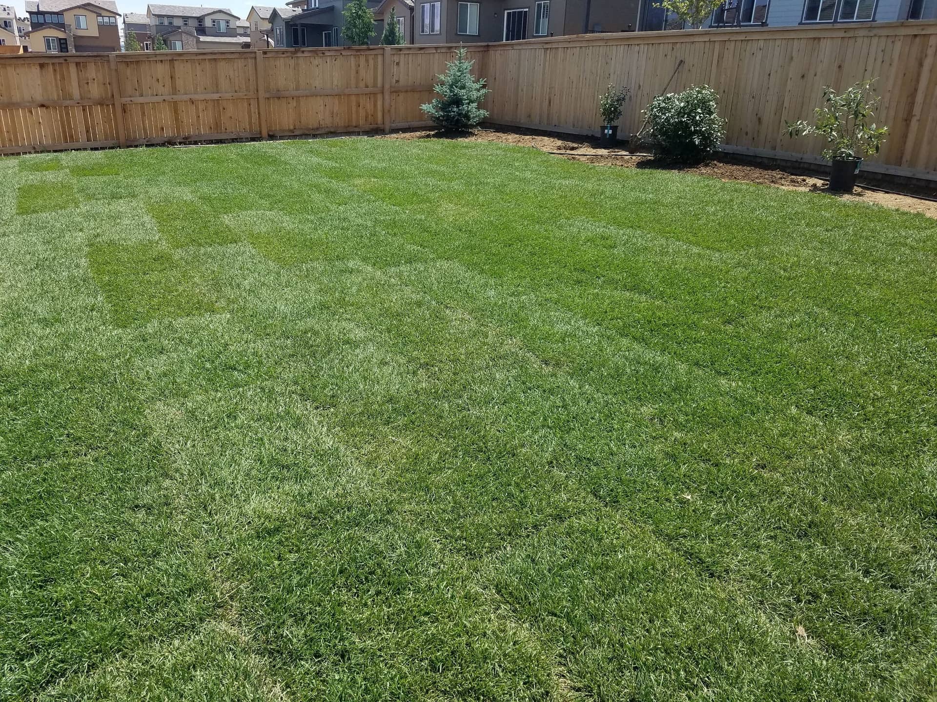 Sod Installation