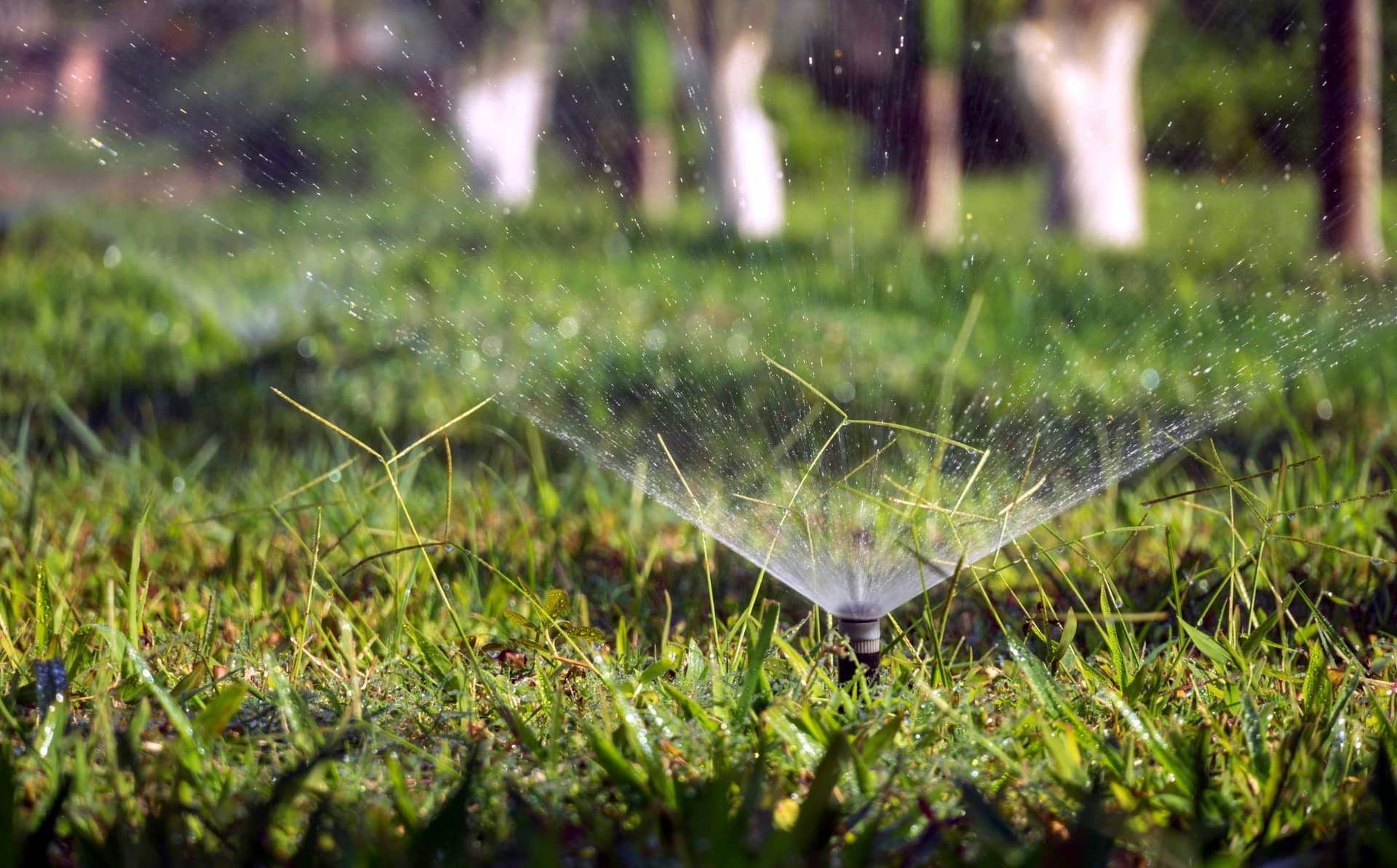 Sprinkler Installation